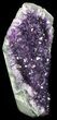 Dark Purple Amethyst Cut Base Cluster - Uruguay #36498-2